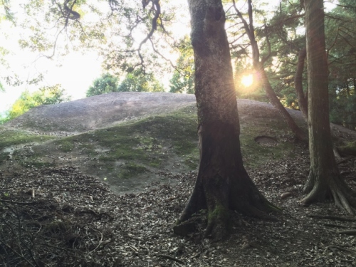 IMG_4730 (640x480).jpg