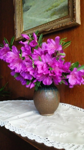 NEC_0765.jpg