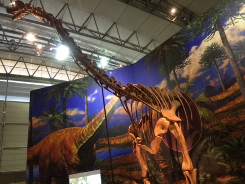 トゥリアサウルス.JPG