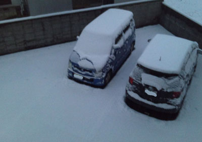 車うまってます