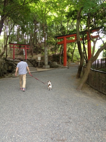 吉田神社.jpg