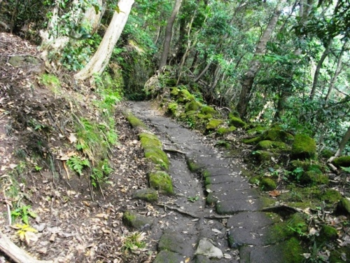 鋸山車力道 (2).JPG