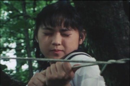PDVD_018.jpg