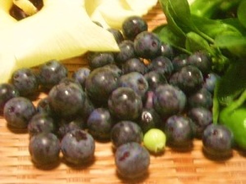 DSCN0785 (300x225).jpg