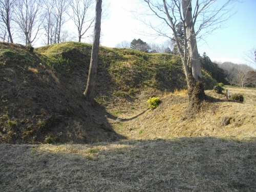 杉山城空堀 (2) (500x375).jpg