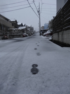 DSC00040.jpg