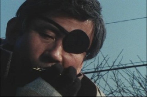 PDVD_004.jpg
