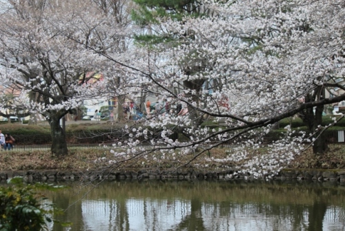 IMG_8219 (640x427).jpg