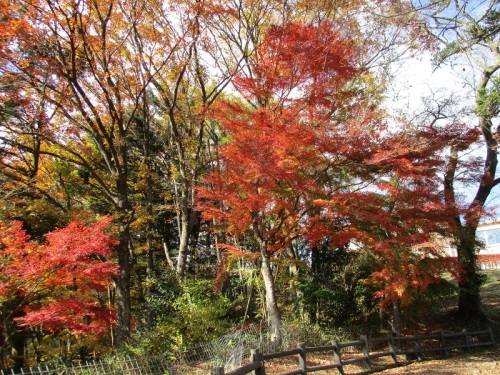 仙台市水道記念館