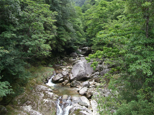 屋久島42.jpg