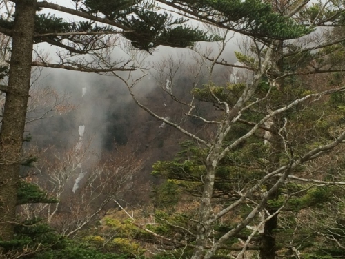 IMG_9272 (640x480).jpg