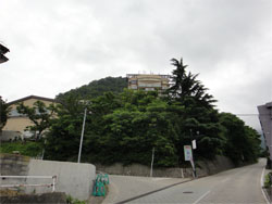 東鳳45.jpg