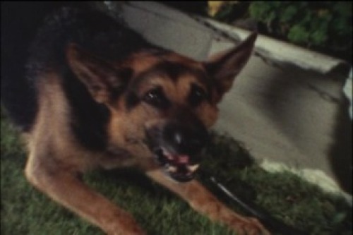 PDVD_062.jpg