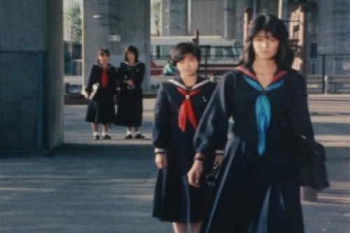 PDVD_006.jpg