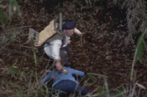PDVD_010.jpg