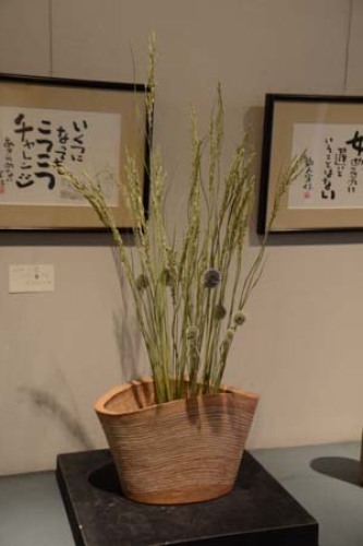 450_0506 - コピー.JPG