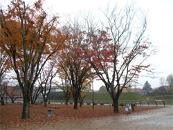 霞城公園11.jpg