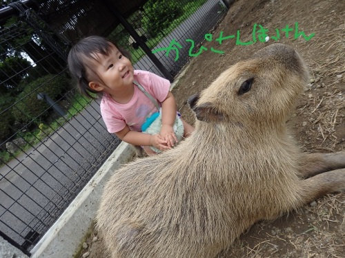 サボテン公園9.JPG