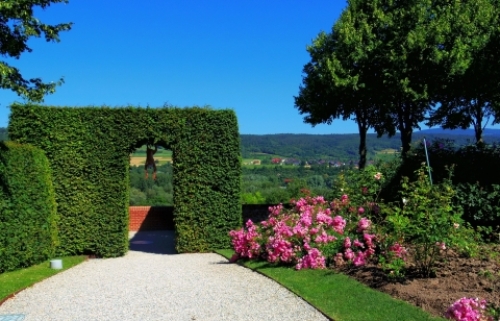 pict-メルク庭 8.jpg