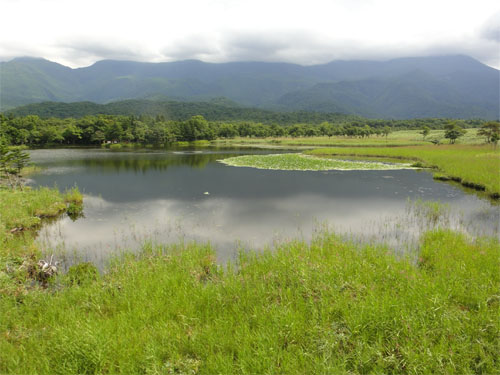知床20.jpg