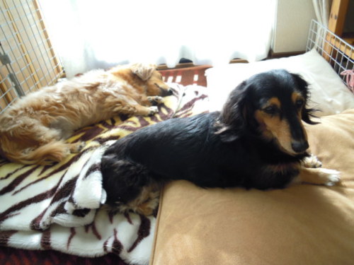 DSCN6977.JPG