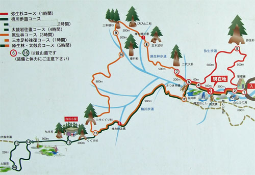 屋久島36.jpg