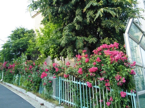 2015-06-07 18.29.36.jpg