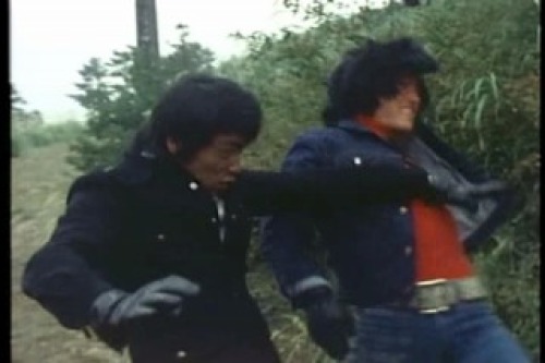 PDVD_008.jpg