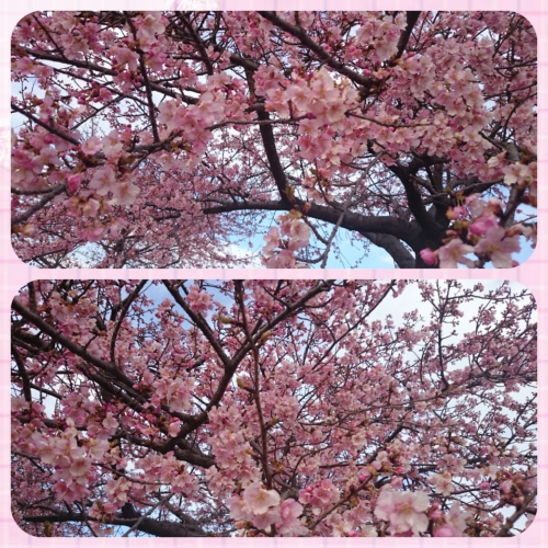 CYMERA_20170404_135014.jpg