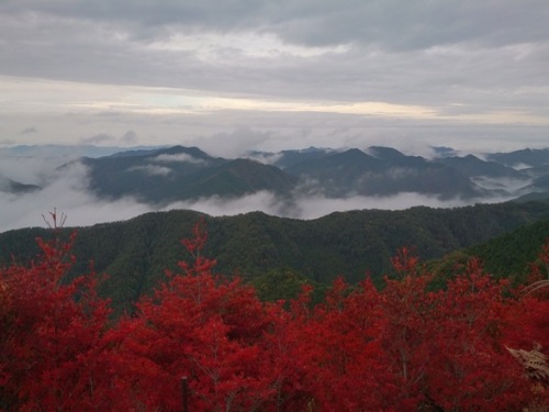 和歌山5高野山あたりの眺め.jpg