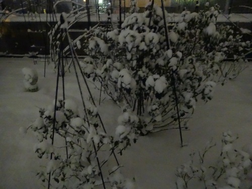 DSC02324 - コピー.jpg