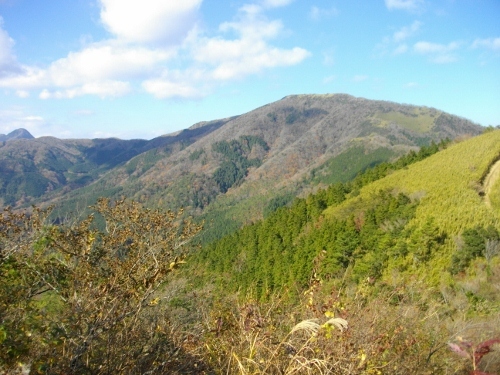 箱根外輪山明星ヶ岳 (6) (500x375).jpg