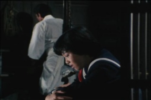 PDVD_023.jpg