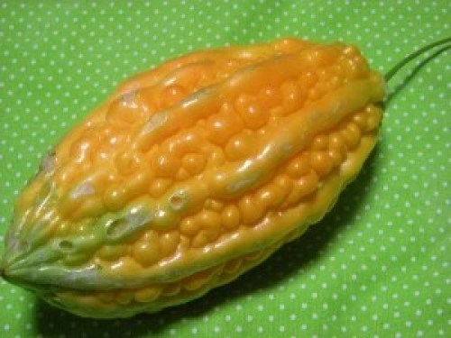 DSCN2547 (300x225).jpg