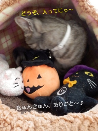 20151030_4.jpg