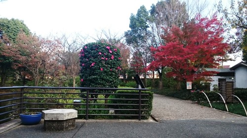 CYMERA_20151208_141834.jpg