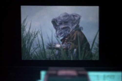 PDVD_003.jpg