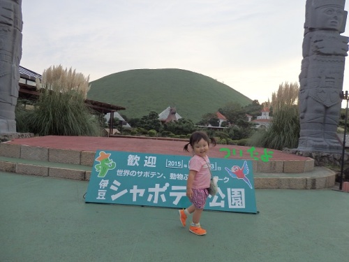 サボテン公園4.JPG