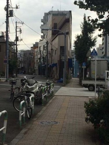 450_5431 - コピー.JPG