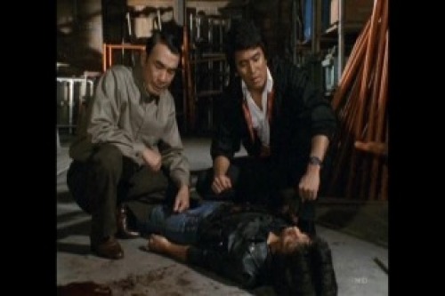 PDVD_031.jpg