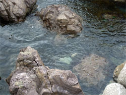 帝水4.jpg