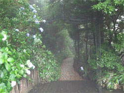 六甲山34.jpg
