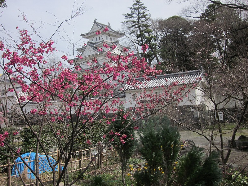 大垣市ブログ 楽天ブログ