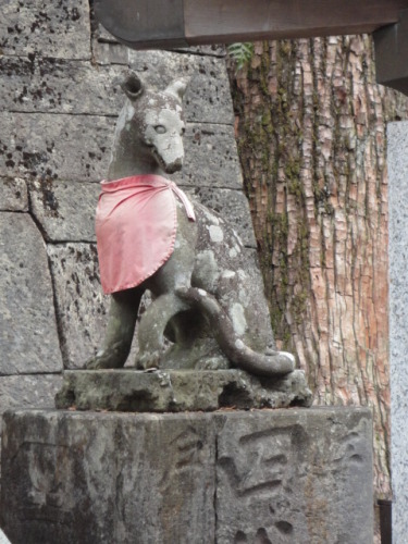 154.JPG