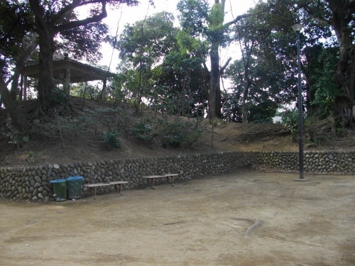 川越城三芳野神社 (4) (500x375).jpg