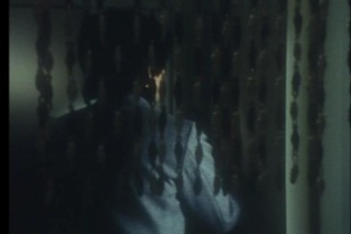 PDVD_054.jpg