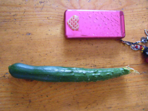 DSCF8530.jpg