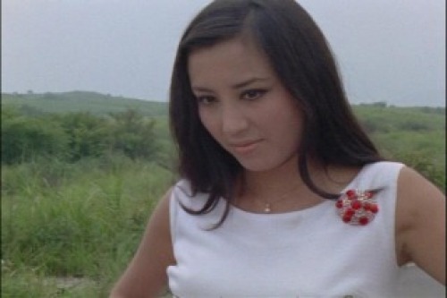 PDVD_007.jpg
