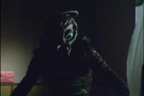 PDVD_018.jpg