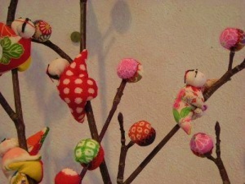 DSCN3554 (300x225).jpg